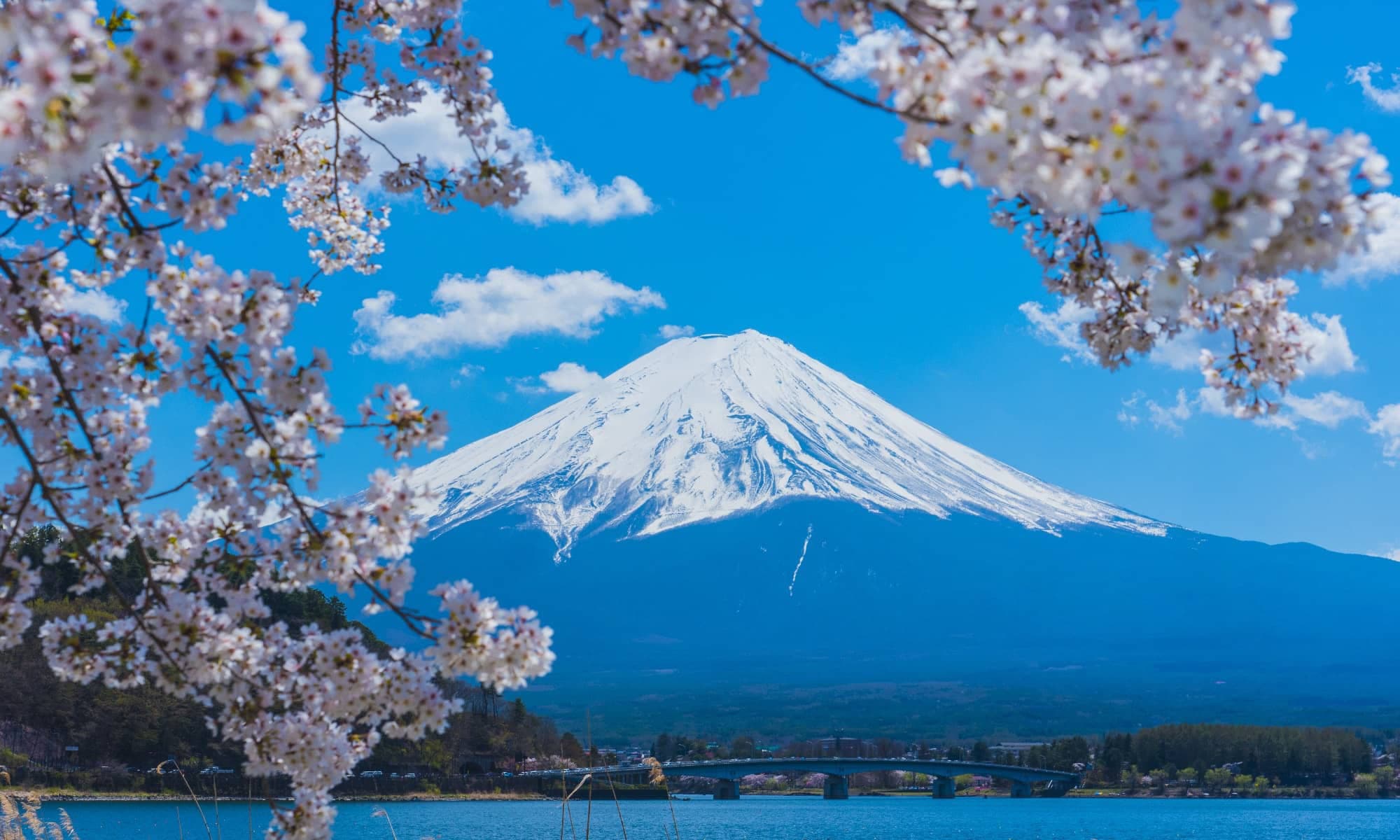 pc_slide_fuji_haru-min-min.jpg